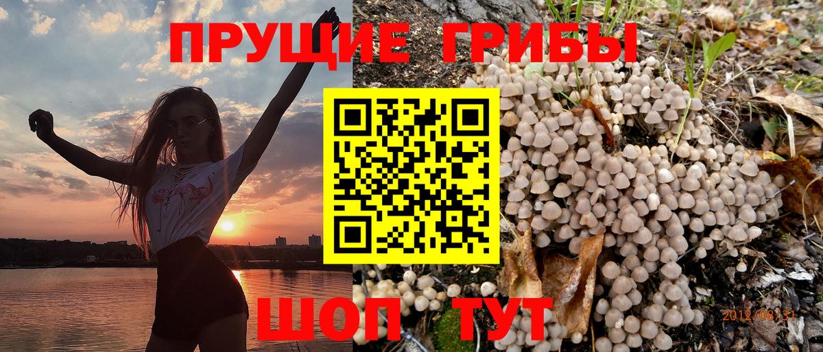 Галлюциногенные грибы мицелий Изобильный