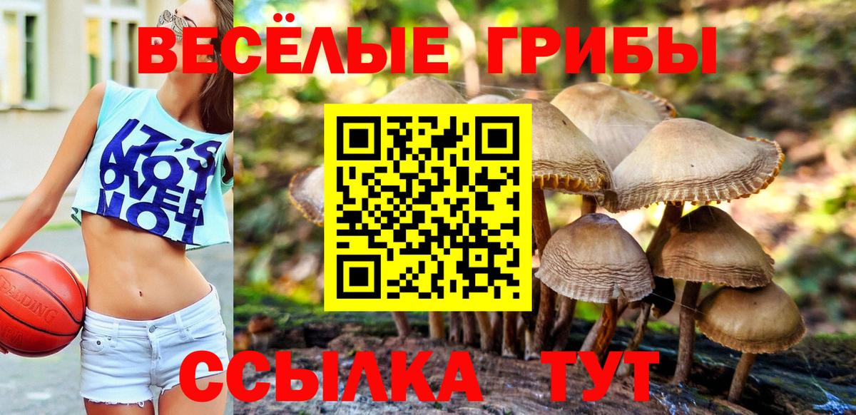 Галлюциногенные грибы Psilocybe  Вход с VPN  Изобильный 